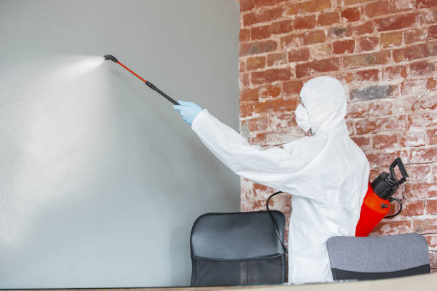 Best Industrial Mold Remediation  in Cudahy, WI