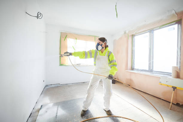 Best Attic Mold Removal  in Cudahy, WI