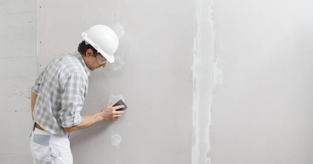 Best Real Estate Mold Inspection  in Cudahy, WI