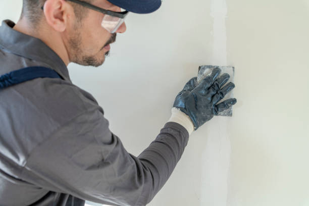 Best Forensic Mold Investigation  in Cudahy, WI