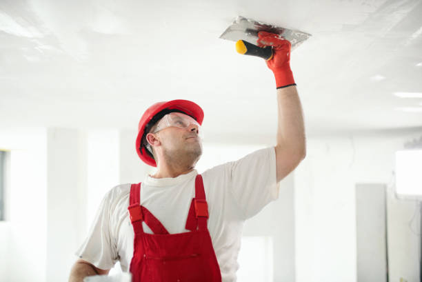 Reliable Cudahy, WI Mold Removal Solutions