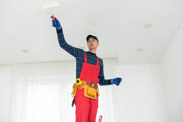Best Black Mold Removal  in Cudahy, WI