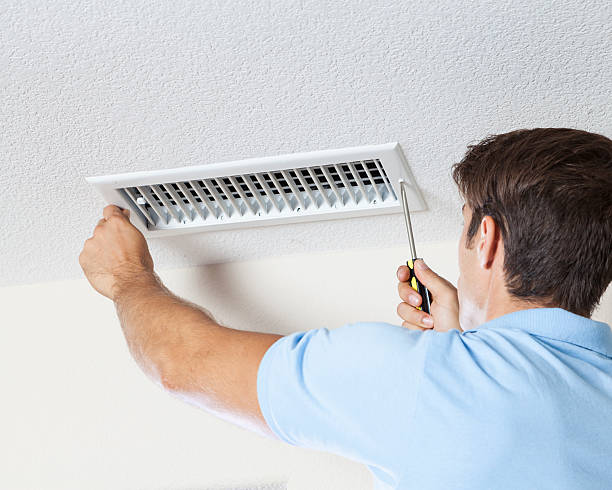 Best Crawl Space Mold Remediation  in Cudahy, WI