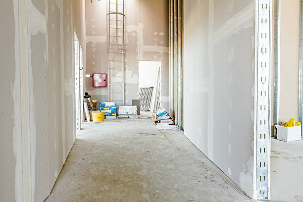 Best Mold Damage Restoration  in Cudahy, WI